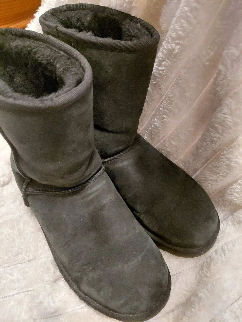 Black Classic Short Ugg Boots